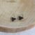 Oeil de Faucon
