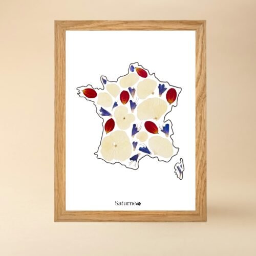 France n°1